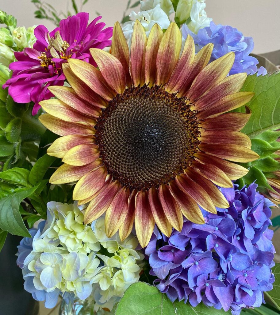 A sunflower and hydrangeas in a bouquet